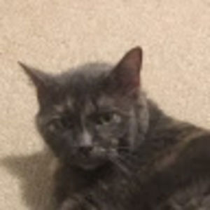 Meet your Posher, Astrid